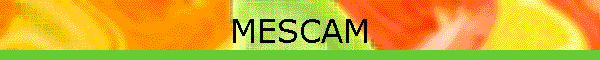 MESCAM